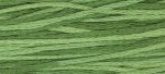 (image for) Monkey Grass